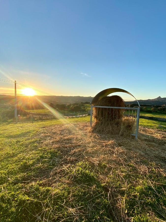Agriturismo Lu Branu Arzachena Luaran gambar