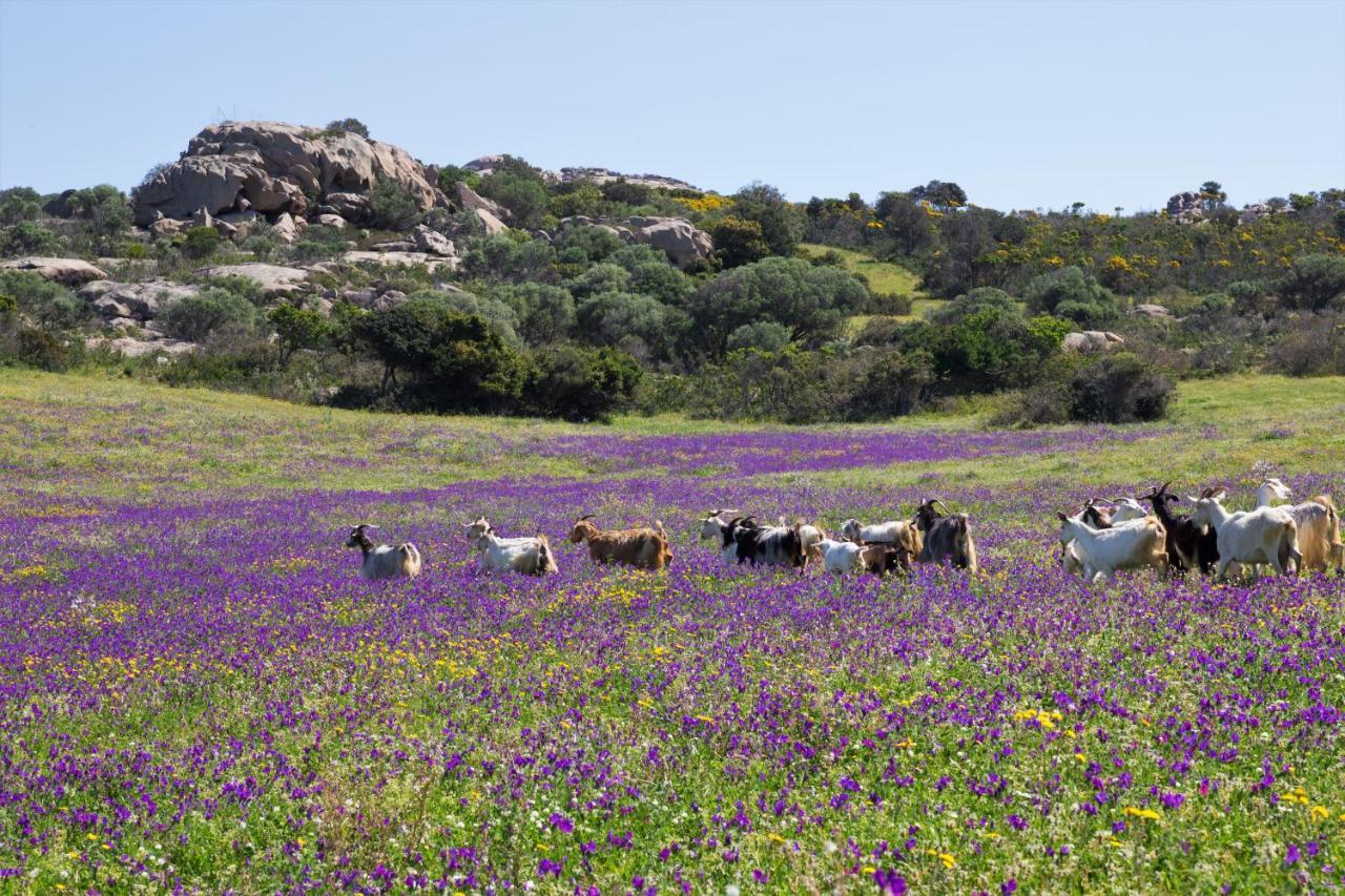 Agriturismo Lu Branu Arzachena Luaran gambar