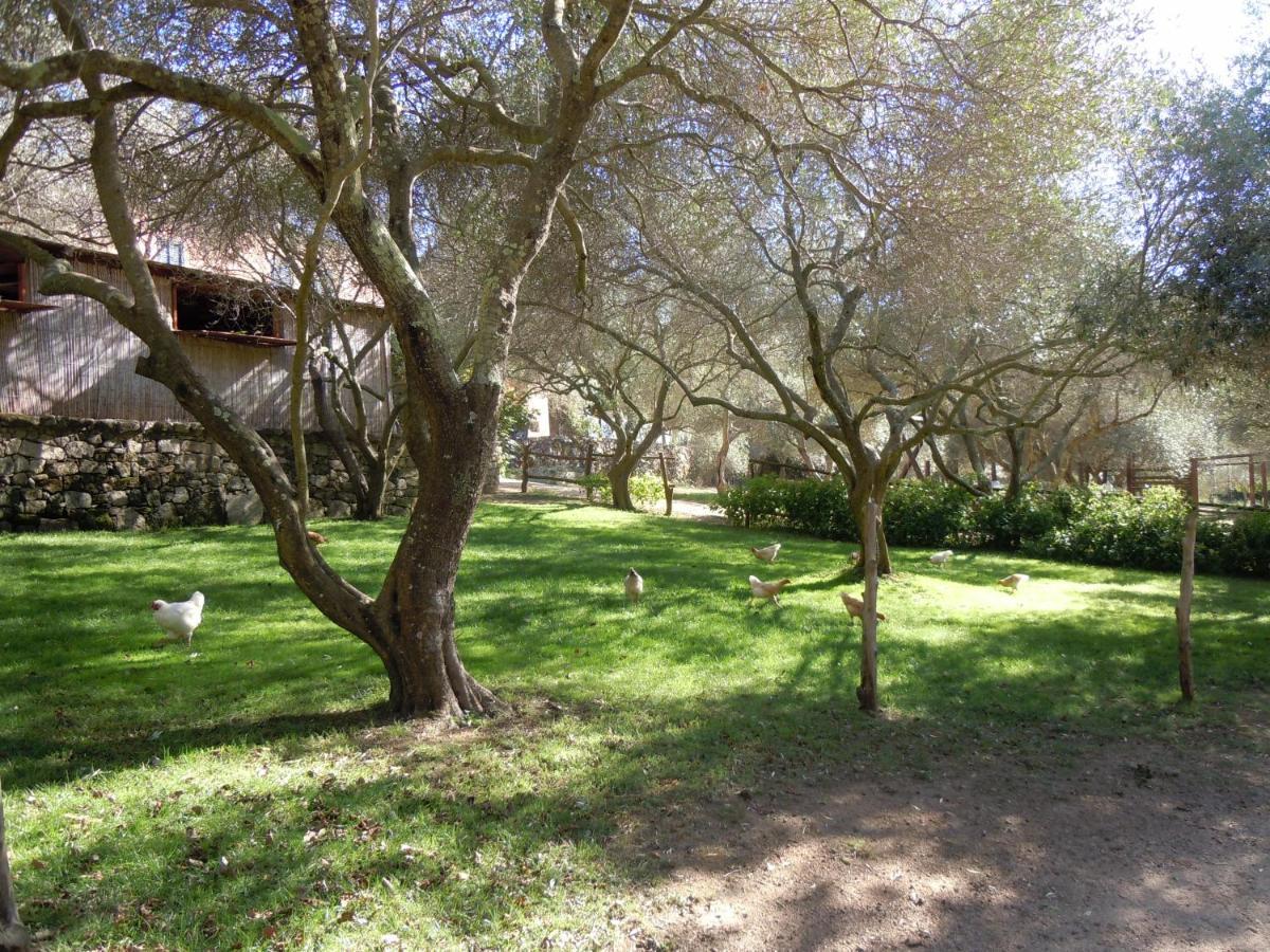 Agriturismo Lu Branu Arzachena Luaran gambar